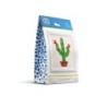 Kit DIAMOND DOTZ® Cactus AVEC CADRE