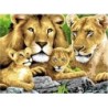 Kit ROYAL LANGNICKEL® Peinture au numéro Junior Grand Format - Famille de lions