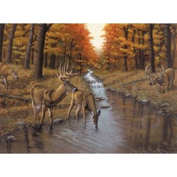 Kit ROYAL LANGNICKEL® Peinture au numéro - Symond's creek
