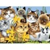 Kit ROYAL LANGNICKEL Peinture au numéro Junior Grand Format - Chatons & Cie