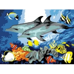 Kit ROYAL LANGNICKEL Peinture au numéro Junior Grand Format - Dauphins