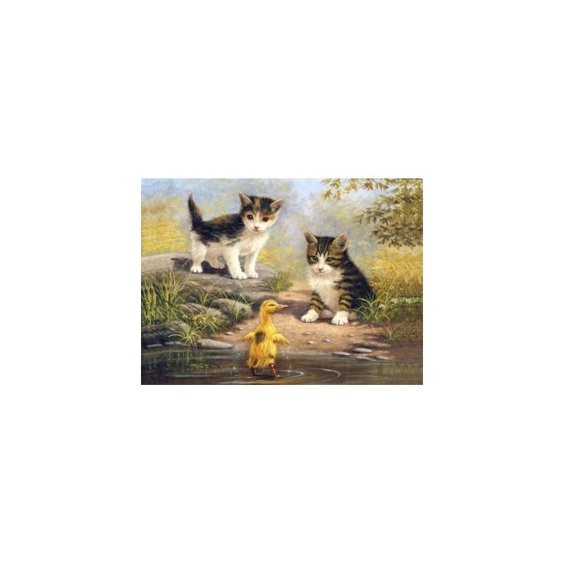 Kit ROYAL LANGNICKEL Peinture au numéro Junior Grand Format - Compagnons de mare
