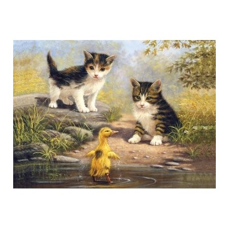 Kit ROYAL LANGNICKEL Peinture au numéro Junior Grand Format - Compagnons de mare