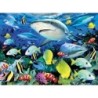 Kit ROYAL LANGNICKEL Peinture au numéro Junior Grand Format - Requins de récif