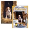Kit ROYAL LANGNICKEL Peinture au numéro Junior Petit Format - Chiot Beagle