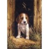 Kit ROYAL LANGNICKEL Peinture au numéro Junior Petit Format - Chiot Beagle