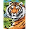 Kit ROYAL LANGNICKEL 3 Peintures au numéro Junior - Félins de la jungle