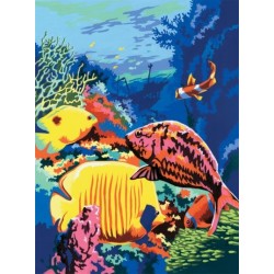 Kit ROYAL LANGNICKEL 3 Peintures au numéro Junior - Vie marine