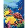 Kit ROYAL LANGNICKEL 3 Peintures au numéro Junior - Vie marine