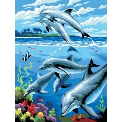 Kit ROYAL LANGNICKEL 3 Peintures au numéro Junior - Vie marine