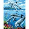 Kit ROYAL LANGNICKEL 3 Peintures au numéro Junior - Vie marine