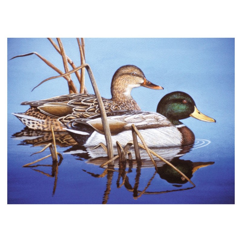 Kit ROYAL LANGNICKEL® Peinture au numéro - Colverts sur la mare