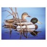 Kit ROYAL LANGNICKEL® Peinture au numéro - Colverts sur la mare