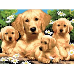 Kit ROYAL LANGNICKEL Peinture au numéro Junior Grand Format - Famille de Golden Retriever
