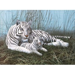 Kit ROYAL LANGNICKEL Peinture au numéro Junior Grand Format - Tigres blancs dans la brume