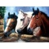 Kit ROYAL LANGNICKEL Peinture au numéro Junior Grand Format - Trio de chevaux