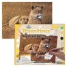 Kit ROYAL LANGNICKEL Peinture au numéro Junior Grand Format - Lionne d'Afrique et ses petits