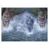 Kit ROYAL LANGNICKEL® Peinture au numéro Junior Grand Format - 3 tigres