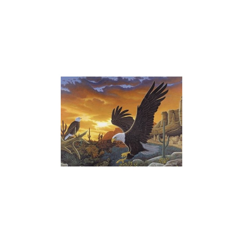 Kit ROYAL LANGNICKEL® Peinture au numéro Junior Grand Format - Aigle Royal