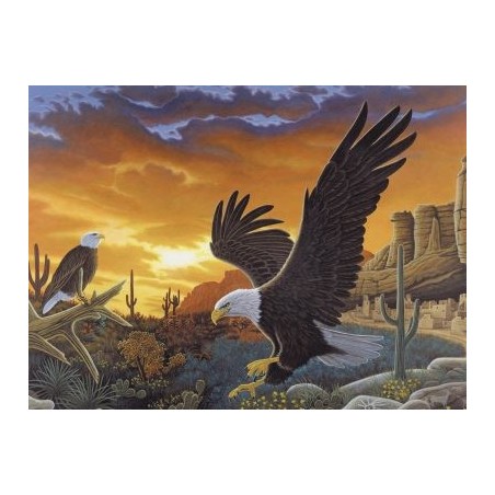 Kit ROYAL LANGNICKEL® Peinture au numéro Junior Grand Format - Aigle Royal