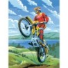Kit ROYAL LANGNICKEL Peinture au numéro Junior Petit Format - Motocross