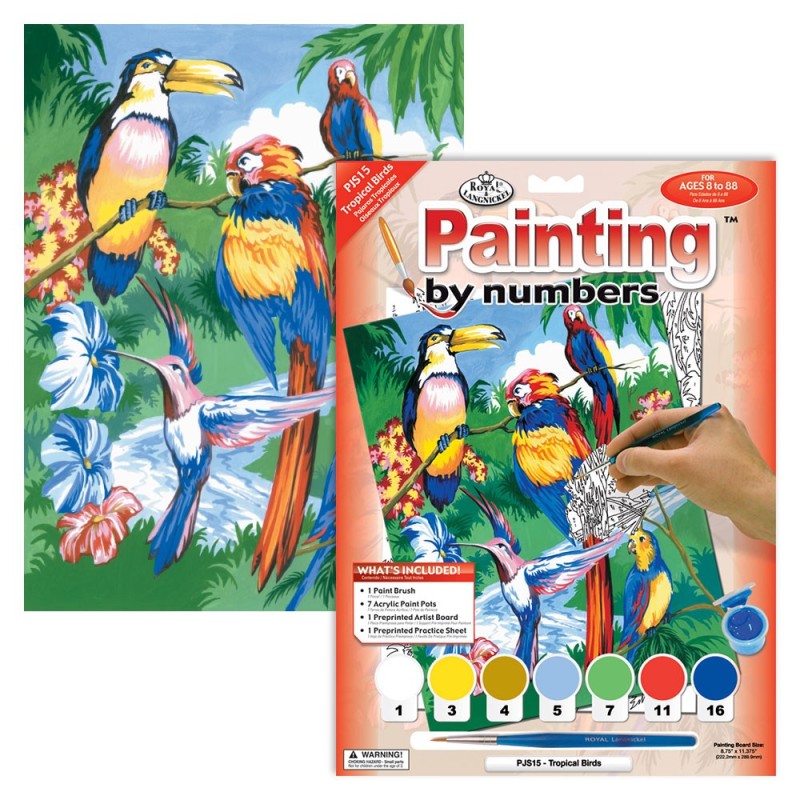 Kit ROYAL LANGNICKEL Peinture au numéro Junior Petit Format - Oiseaux tropicaux