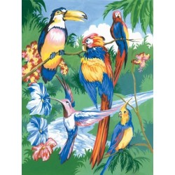 Kit ROYAL LANGNICKEL Peinture au numéro Junior Petit Format - Oiseaux tropicaux