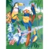 Kit ROYAL LANGNICKEL Peinture au numéro Junior Petit Format - Oiseaux tropicaux