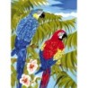 Kit ROYAL LANGNICKEL Peinture au numéro Junior Petit Format - Perroquets bleus