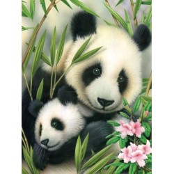 Kit ROYAL LANGNICKEL Peinture au numéro Junior Petit Format - Maman Panda et son petit