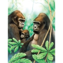 Kit ROYAL LANGNICKEL Peinture au numéro Junior Petit Format - Famille de gorilles