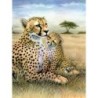 Kit ROYAL LANGNICKEL Peinture au numéro Junior Petit Format - Léopards dans la savane