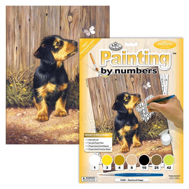 Kit ROYAL LANGNICKEL Peinture au numéro Junior Petit Format - Chiot Teckel