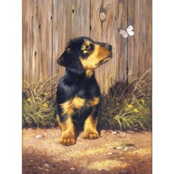 Kit ROYAL LANGNICKEL Peinture au numéro Junior Petit Format - Chiot Teckel