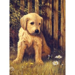 Kit ROYAL LANGNICKEL Peinture au numéro Junior Petit Format - le Blues du chiot