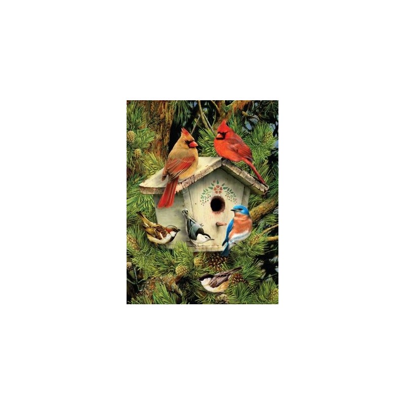 Kit ROYAL LANGNICKEL Peinture au numéro Junior Petit Format - Oiseaux autour de la cabane