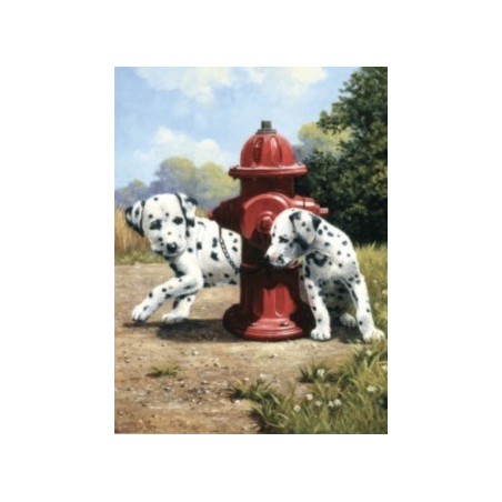 Kit ROYAL LANGNICKEL Peinture au numéro Junior Petit Format - Dalmatiens pompiers