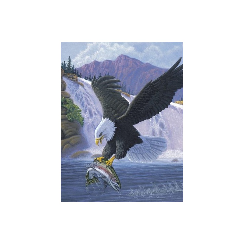 Kit ROYAL LANGNICKEL Peinture au numéro Junior Petit Format - Aigle royal à la pêche