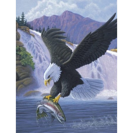 Kit ROYAL LANGNICKEL Peinture au numéro Junior Petit Format - Aigle royal à la pêche