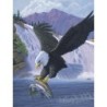 Kit ROYAL LANGNICKEL Peinture au numéro Junior Petit Format - Aigle royal à la pêche