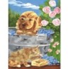 Kit ROYAL LANGNICKEL 3 Peintures au numéro Junior - Chiens et chiots