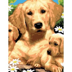 Kit ROYAL LANGNICKEL 3 Peintures au numéro Junior - Chiens et chiots