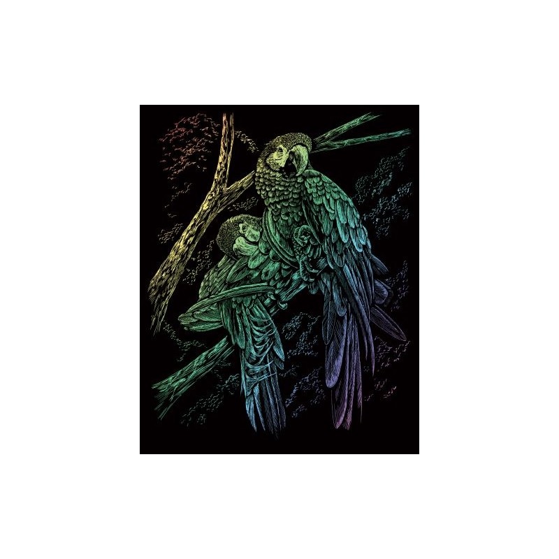 Kit ROYAL LANGNICKEL® Gravure d'Art Arc-en-Ciel - Oiseaux Tropicaux