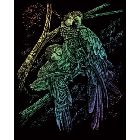 Kit ROYAL LANGNICKEL® Gravure d'Art Arc-en-Ciel - Oiseaux Tropicaux