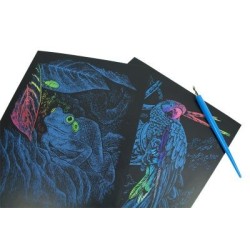 Kit ROYAL LANGNICKEL® Gravure d'Art Arc-en-Ciel - Chaton et Papillons