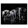 Kit ROYAL LANGNICKEL® Gravure d'Art Argent - Troupeau d'Éléphants