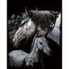 Kit ROYAL LANGNICKEL® Gravure d'Art Argent - Jument et son Poulain