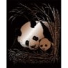 Kit ROYAL LANGNICKEL® Gravure d'Art Cuivre - Maman Panda et son Petit
