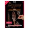 Kit ROYAL LANGNICKEL® Gravure d'Art Cuivre - Félin en chasse