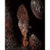 Kit ROYAL LANGNICKEL® Gravure d'Art Cuivre - Félin en chasse
